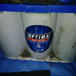 Optima battery. Still new just been sitting in garage for 3 months. Every week i ran it one time in my truck for a hour