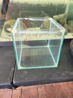 Betta Tank Rimless