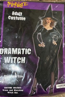 New Adult Witch Costume