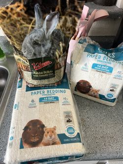 Rabbit Food & Bedding