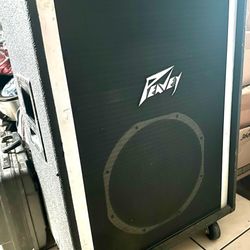 Peavey ED 300 Amp