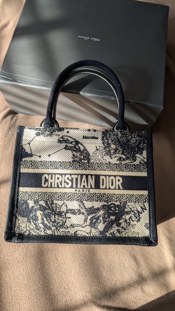 Small Dior Book Tote Latte and Black Dior Zodiac