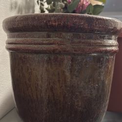 Plant 🪴 Pot 