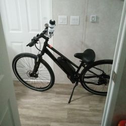 Fuji Electric Bike