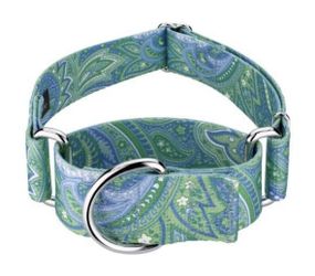 Paisley Martingale Dog Collar. 2" wide for large dogs. $15. 