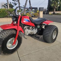 1985 Honda Atc 110 (Piranha 140cc)