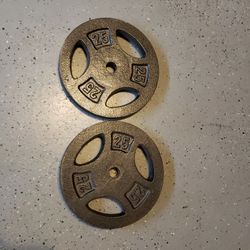 Two 25lb standard (1") weights