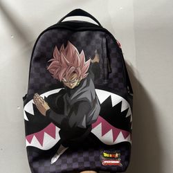 Spray Ground Backpack