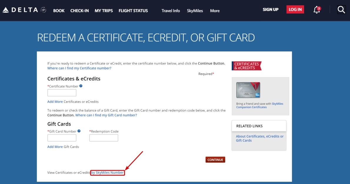 Delta Airlines Companion Ticket