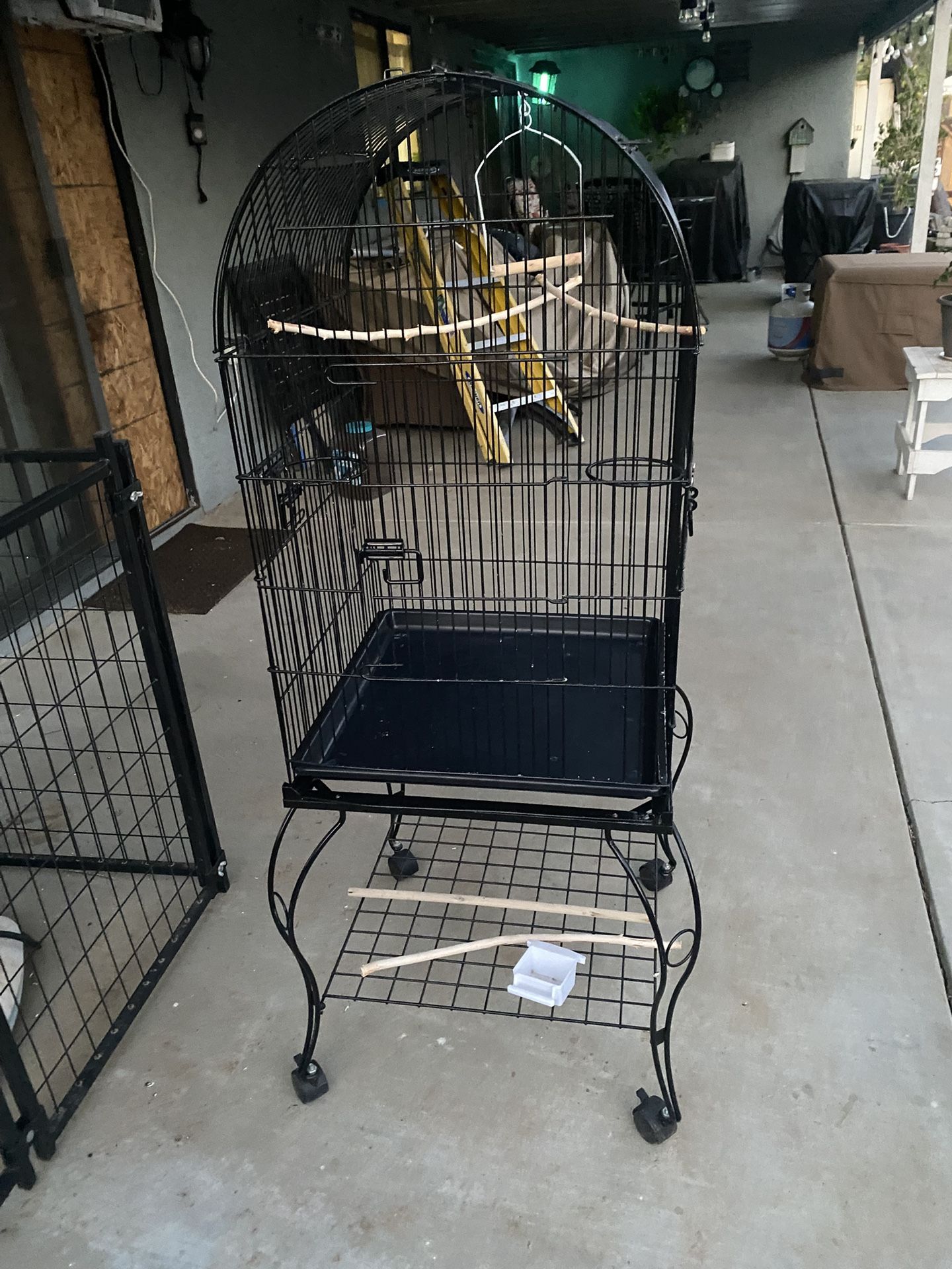 Bird Cage