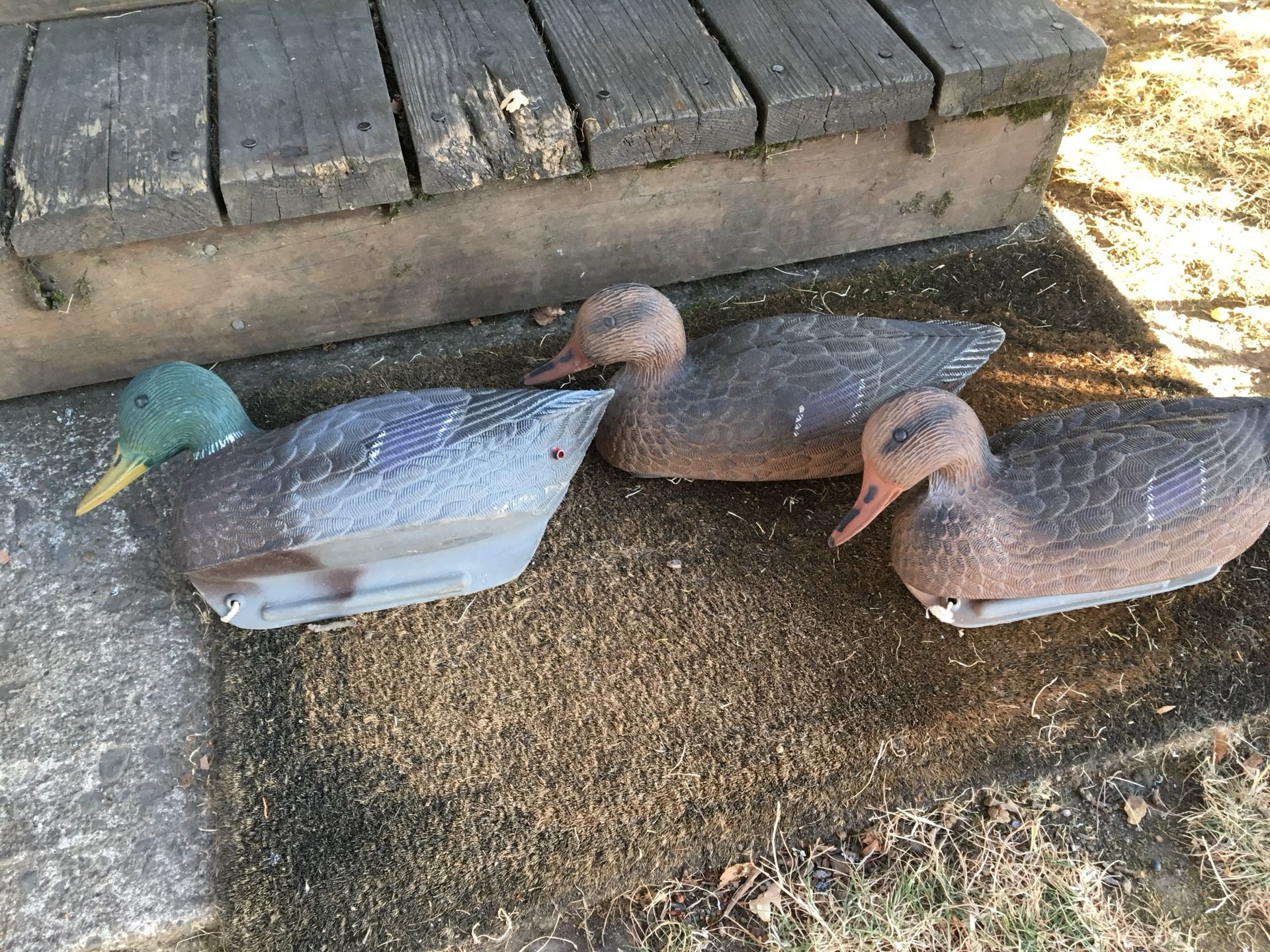 Goose and Duck hunting decoys!! for Sale in Clackamas, OR OfferUp