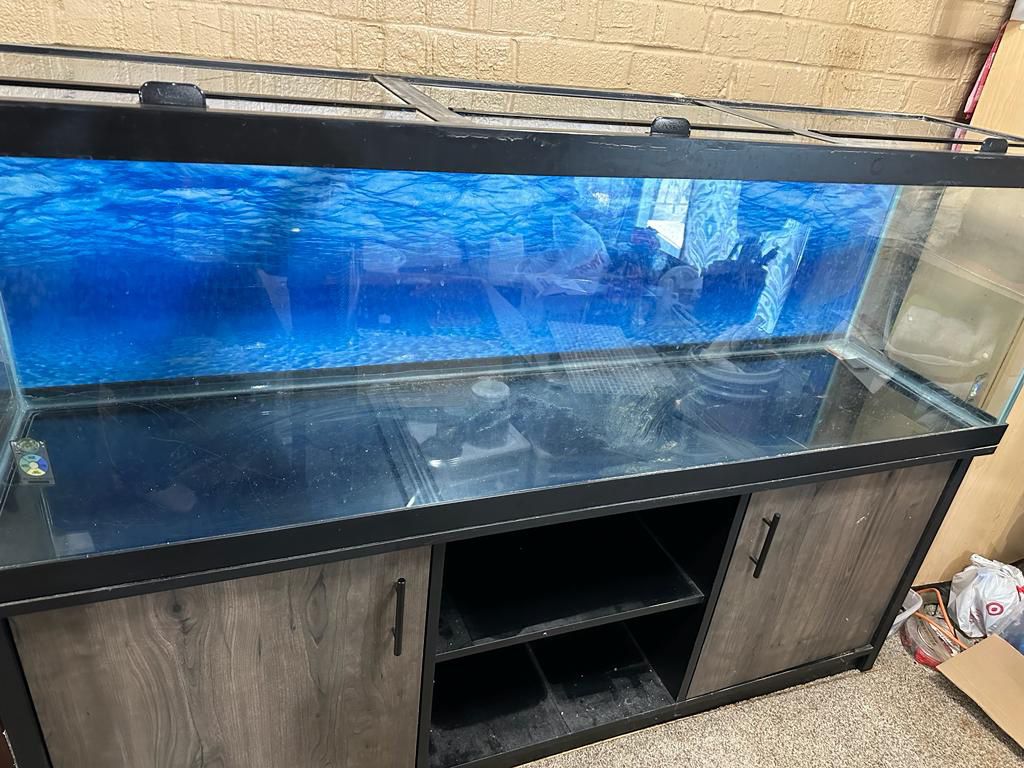 Fish Tank And Stand Need To Be Sold In 2 Days 