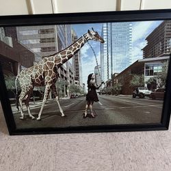 Frame