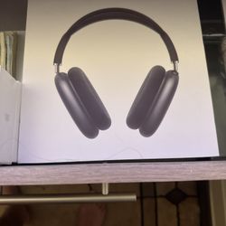 Apple AirPod Pro Max