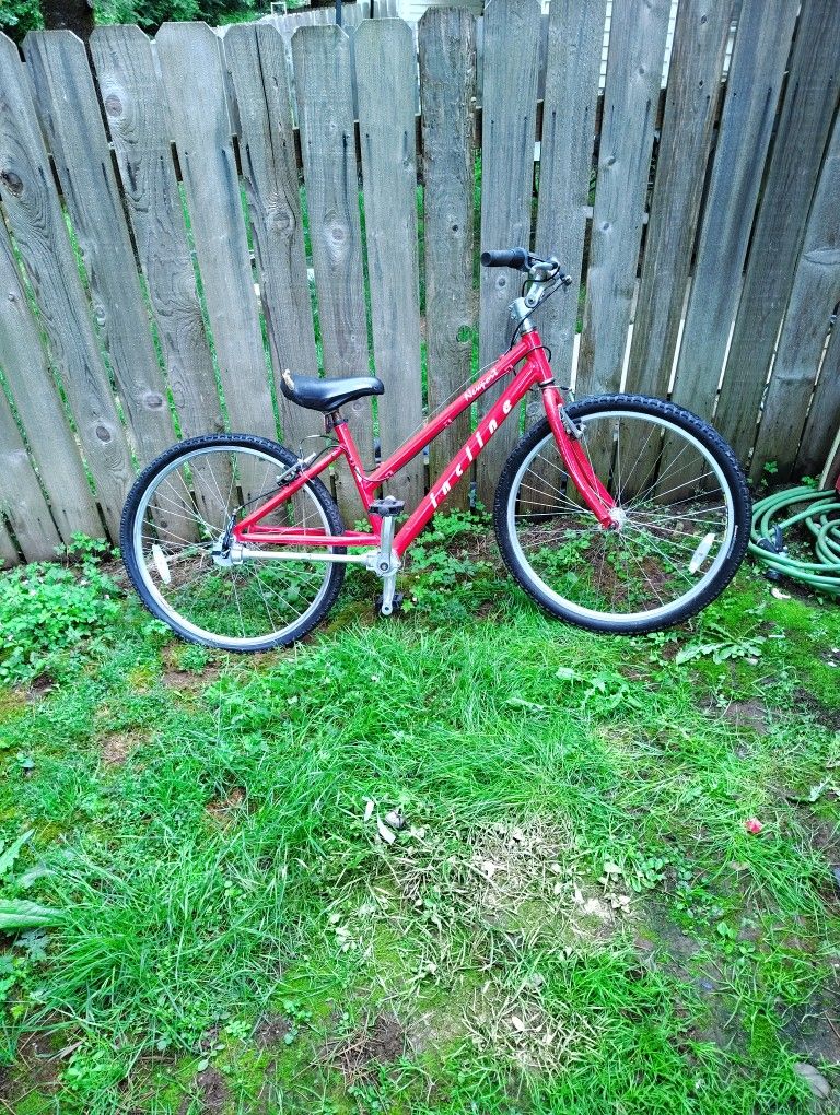 Chainless 3 Speed Cruiser