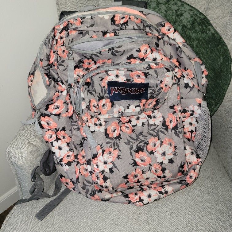 Jansport Coral Backpack for Sale in Lake Villa IL OfferUp