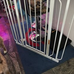 Baby Gate 