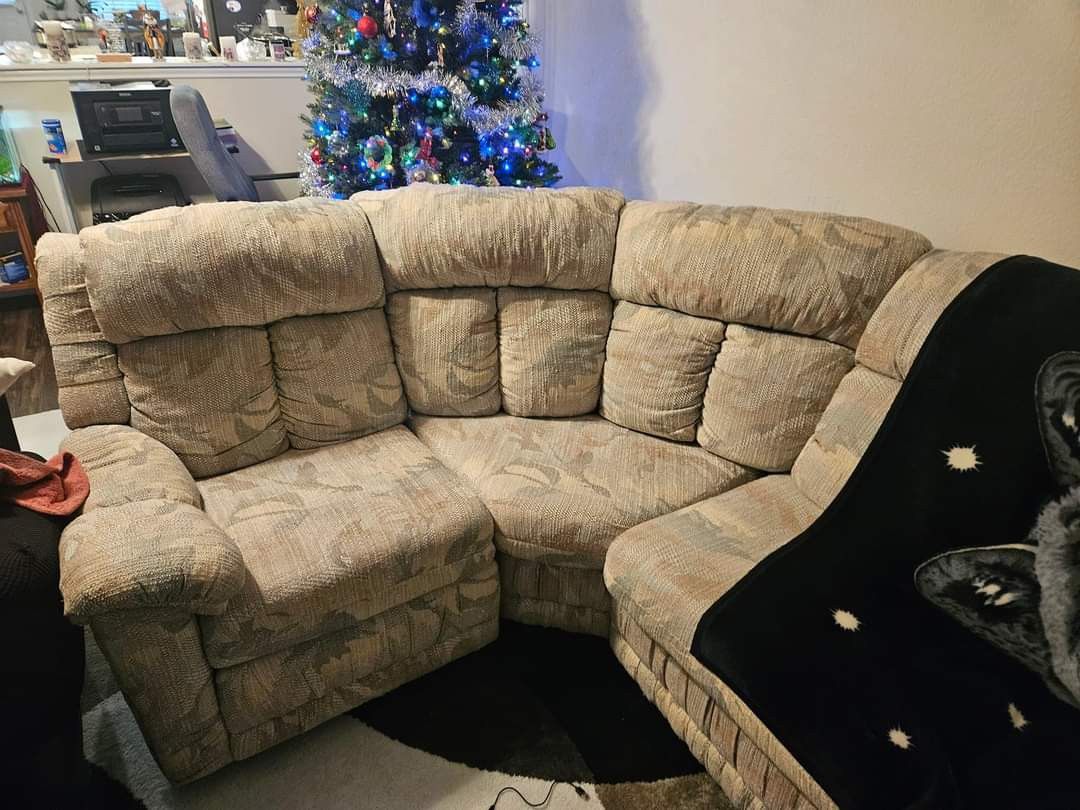 Older Couch With Pull Out Bed