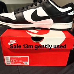 Nike Dunk Low Retro Gently Used 