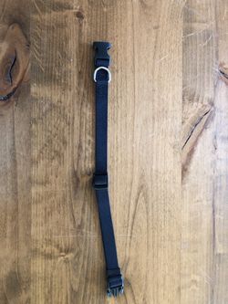 Dog collar medium size NEW