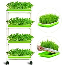 Wheatgrass Tray (4-tier)