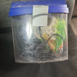 Small Fish Tank