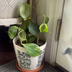 Vintage Pot With Indoor Plan