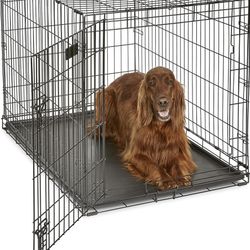 MidWest Homes for Pets Newly Enhanced 42”  Single Door iCrate Dog Crate, Includes