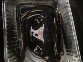 Louis Vuitton Teddy Bumbag