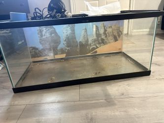 Reptile Enclosure