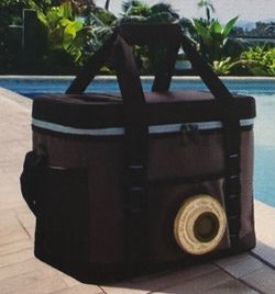 Soft Sided Speaker Cooler Bag