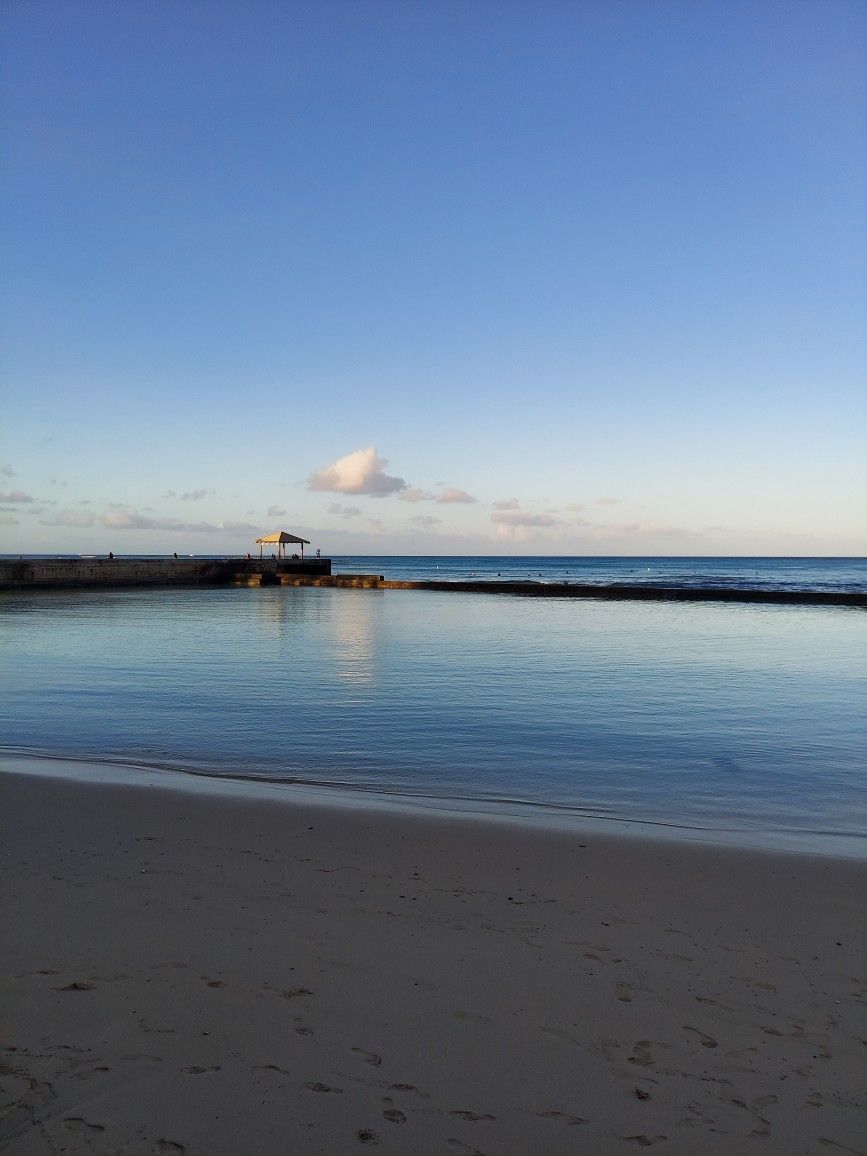 De Guaymas Callos Perla