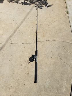 Fishing Pole With Reel