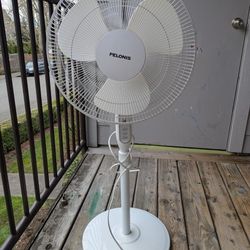 Pedestal Fan