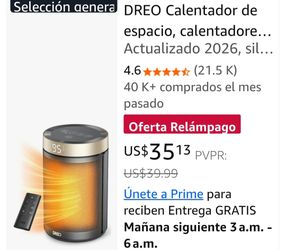 DREO Space Heater with Remote