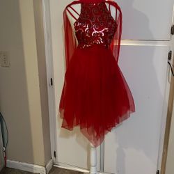 Sequin  Tull Dancer  Dress Or Devil Halloween Costume 