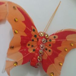 Butterflies 