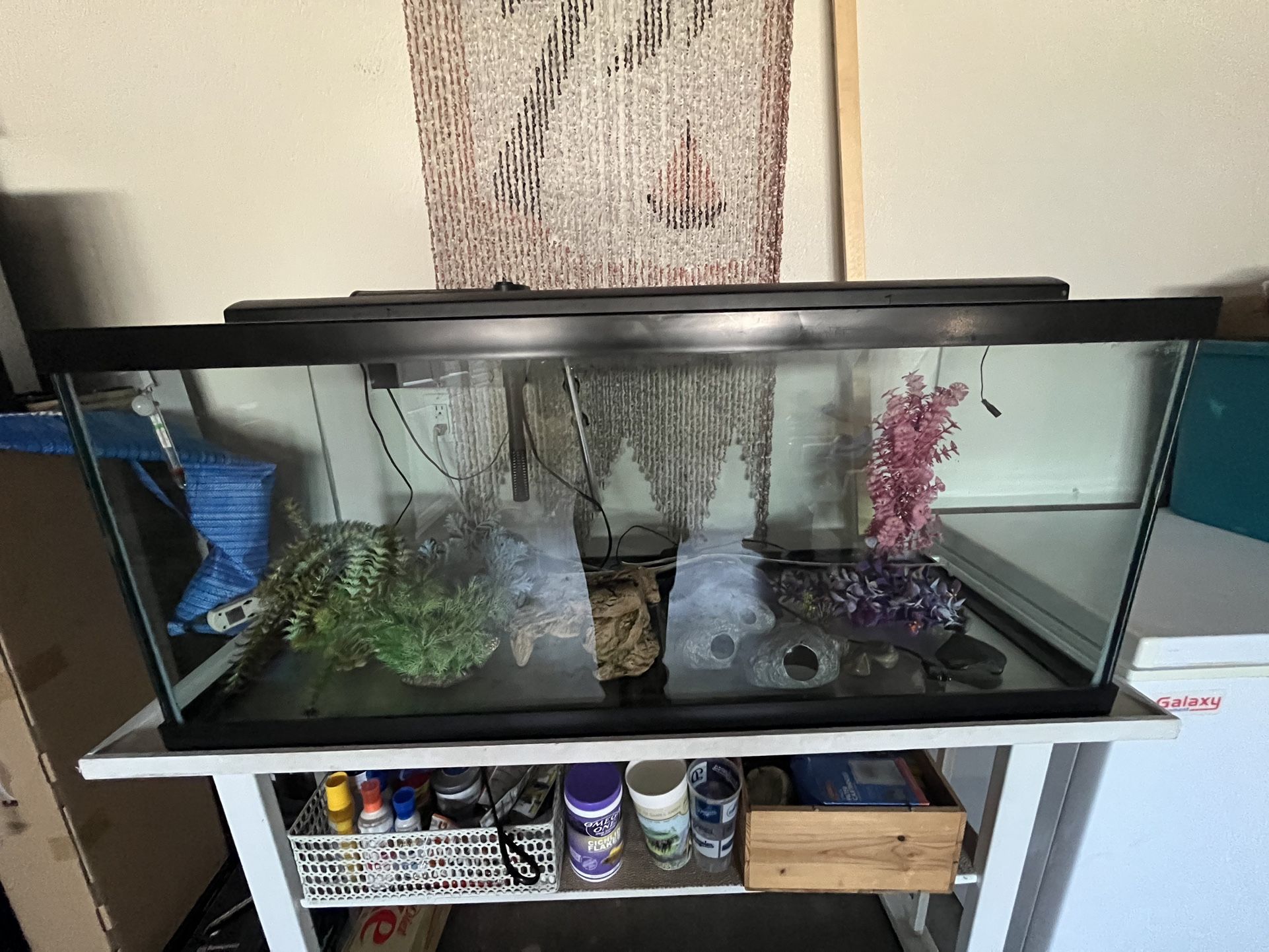 75 Gallon fish tank!