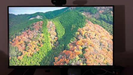 32'' LG 4K Monitor (Originally bought for $666.49)