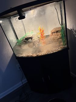 40 gallon tank and black stand