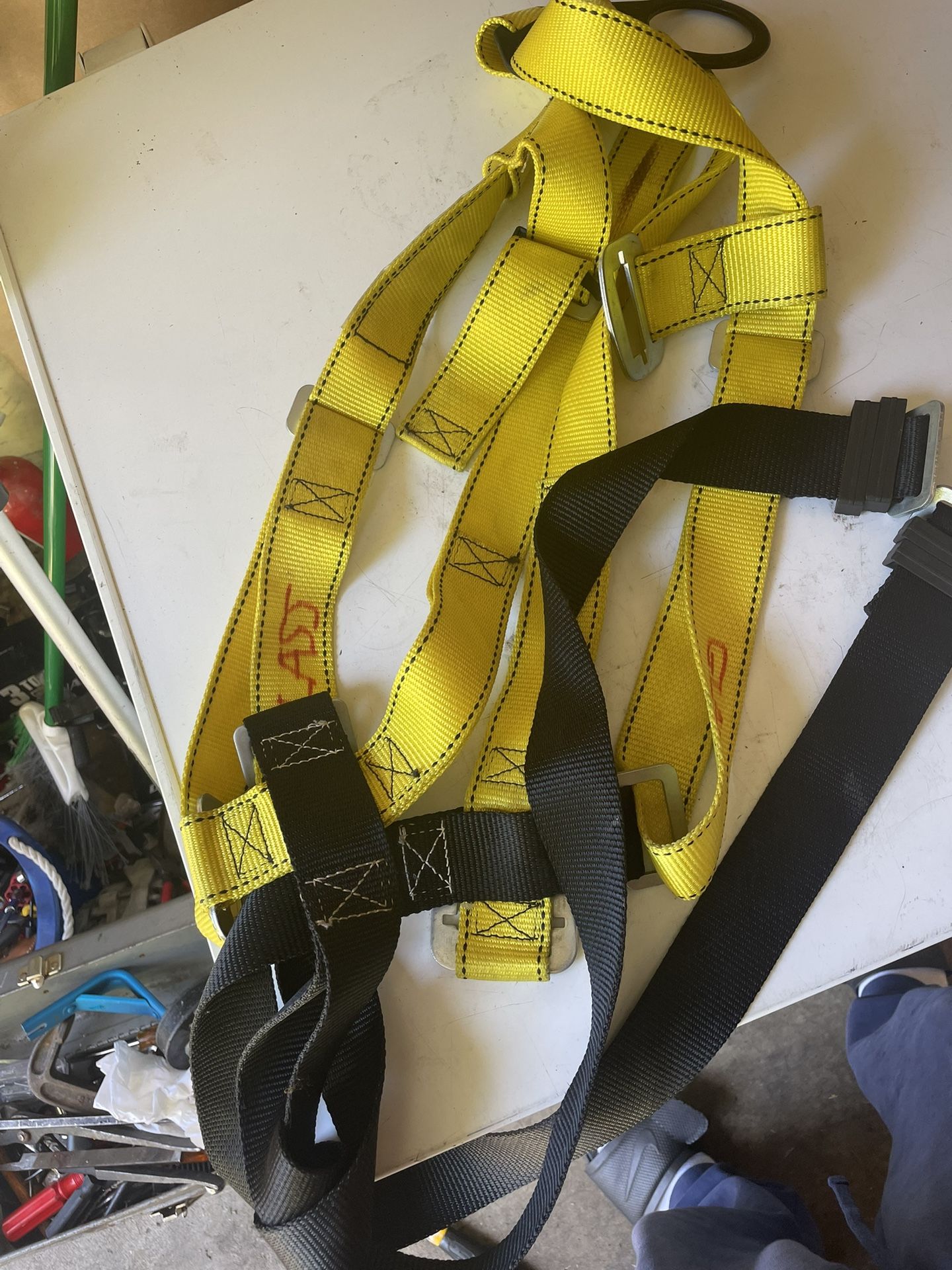 Harness