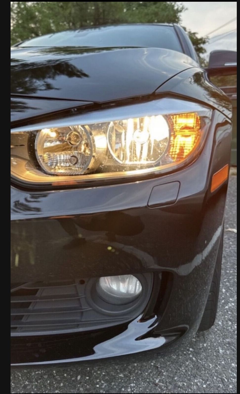 2013 BMW Halogen Headlamp Assembly
