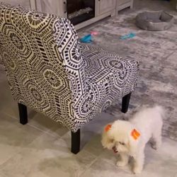 Chair With Matching Ottoman 