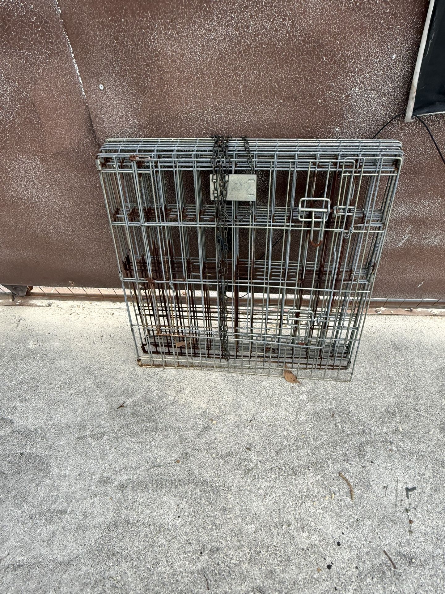 dog fence