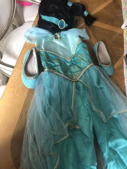 Complete Princess Jasmine costume wig and shoes included