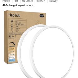 Flat Light 12” Circle