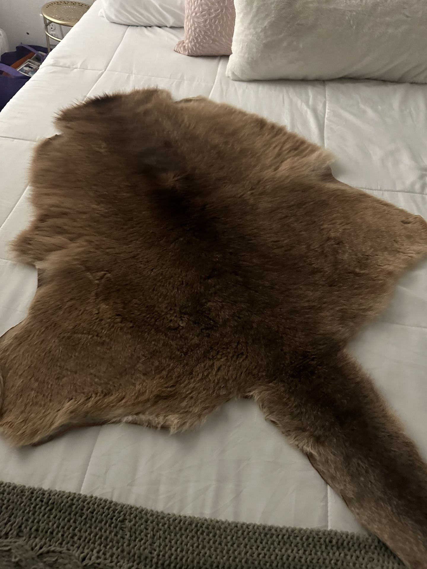 Kangaroo