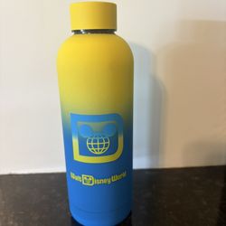 Disneyland Neon Stainless Steel Water Bottle 16oz – Disney Parks, Brand New!
