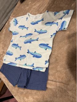 Carters shark set