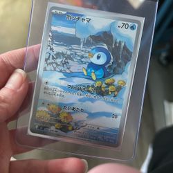 Piplup Japan Pokemon 